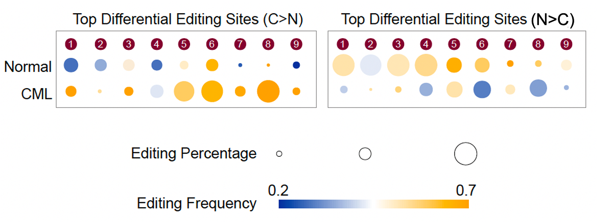 CML_Dig